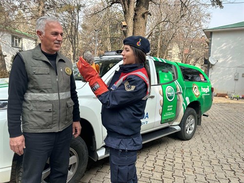 Bingöl Jandarması Yaralı Atmacayı Doğa Koruma ve Milli Parklar Müdürlüğüne Teslim Etti