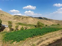 Bingöl İl Jandarma Komutanlığı