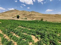 Bingöl İl Jandarma Komutanlığı