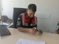 BİNGÖL İL JANDARMA KOMUTANLIĞI