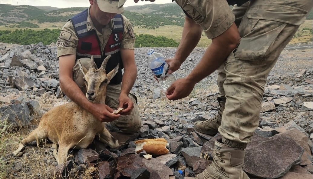 BİNGÖL İL JANDARMA KOMUTANLIĞI 