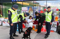 BİNGÖL İL JANDARMA KOMUTANLIĞI