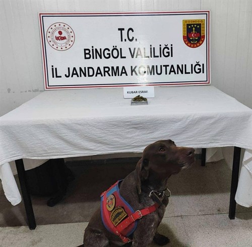 Jandarma Ekipleri Av Tüfeği ve Esrar Maddesi Ele Geçirdi