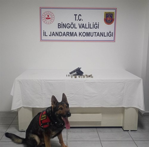Bingöl'de Jandarma 1 Adet Tabanca Ele Geçirdi