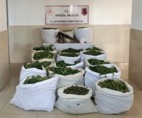 BİNGÖL İL JANDARMA KOMUTANLIĞI